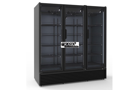 tu mat 3 canh kinh iarp eis 162 hp  hinh 2