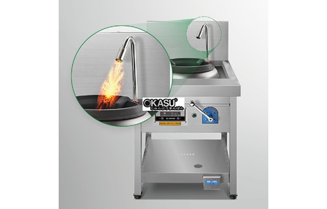 bep au 1 hong dung gas grand woosung gws-d650p hinh 3