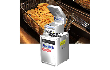 noi chien h&c wz-dzl-q1 hinh 2