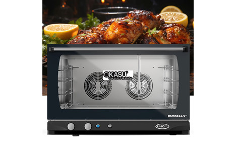  lo nuong doi luu unox linemisstm xft193 hinh 2