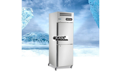 tu dong 2 canh dung primo hinh 2