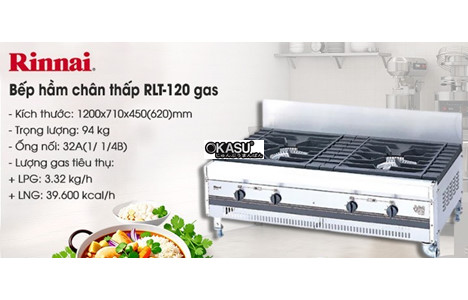 bep ham chan thap rinnai rlt-120 dung gas hinh 2