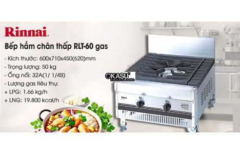 bep ham chan thap rinnai rlt-60 dung gas hinh 2