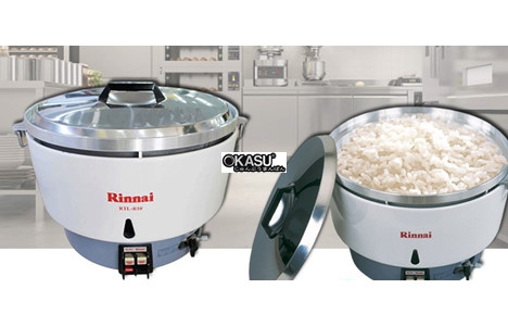 noi nau com dung gas rinnai rtl-r10 10l hinh 2