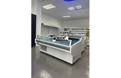 tu mat dang ho carrier zk-aerp25ss hinh 2