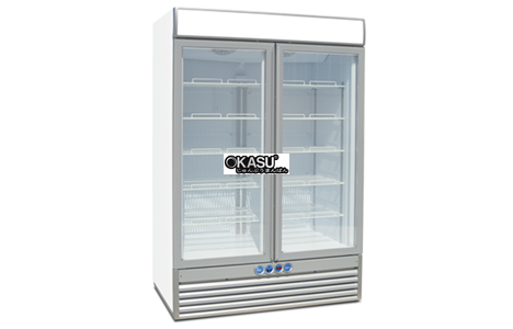 tu dong 2 canh kinh iarp - asia 115 hinh 2