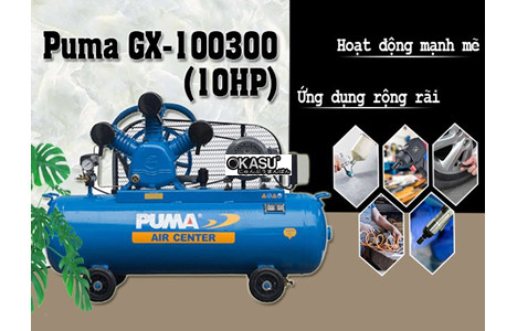 may nen khi piston puma gx-100300(10hp) hinh 4