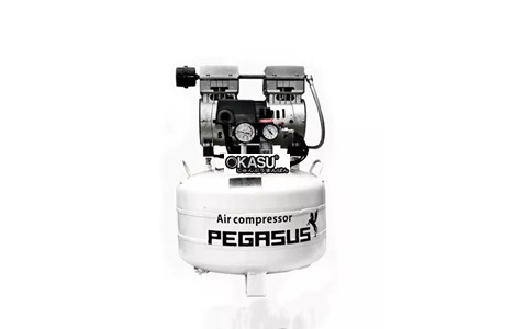 may nen khi piston mini khong dau pegasus tm-of750-40l hinh 2