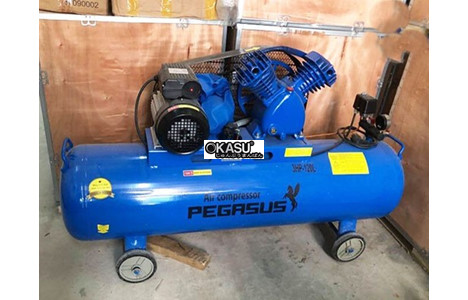 may nen khi cong nghiep piston pegasus tm-v-0.25/12.5-120l hinh 2