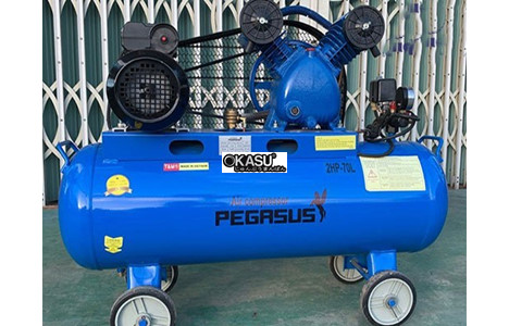 may nen khi cong nghiep piston pegasus tm-v-0.17/8-70l hinh 2