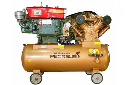 may nen khi piston chay dau pegasus tm-w-2.0/8-500l hinh 2