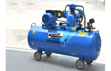 may nen khi cong nghiep day dai pegasus tm-w-0.36/8-230l hinh 3