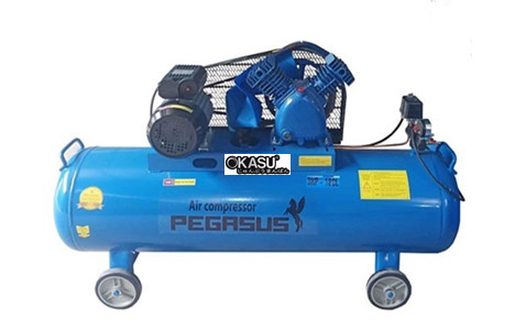 may nen khi pegasus tm-v-0.25/12.5-180l hinh 2