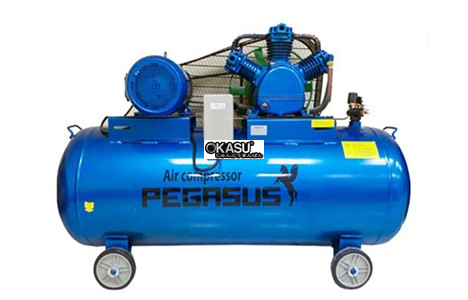 may nen khi piston day dai pegasus tm-w-2.0/12.5-500l hinh 2