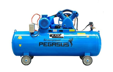 may nen khi pegasus tm-v-0.6/8-330l hinh 2