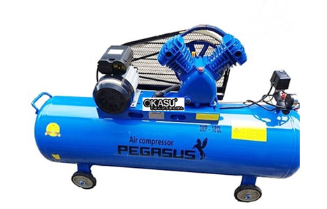 may nen khi pegasus tm-v-0.25/8-180l hinh 2