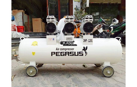 may nen khi khong dau pegasus tm-of750x3-120l hinh 2