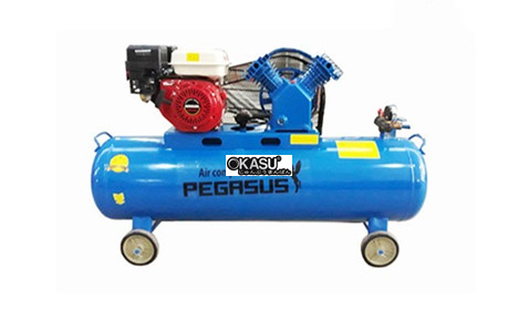 may nen khi piston dau no chay xang pegasus tm-v-0.25/8-100l hinh 2