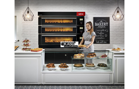 lo nuong salva modular dang tang em-20  hinh 2