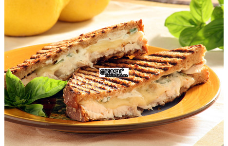 may nuong tiep xuc roller grill panini hinh 3