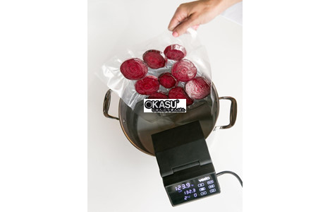 may nau cham sous vide vesta precision sv91 hinh 3