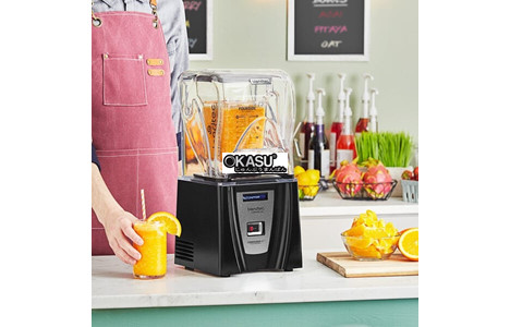 may xay chuyen dung blentec model connoisseur 825 ™ hinh 4