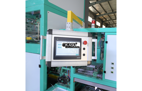 may dong goi day chuyen 25kg-50kg - zdb-600-q9 hinh 4