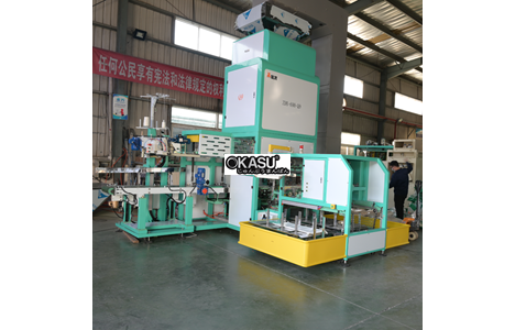 may dong goi day chuyen 25kg-50kg - zdb-600-q9 hinh 2