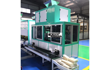 may dong goi chan khong tu dong pine nuts - lzb-600-fr10 hinh 3