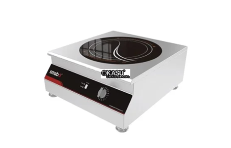 bep dien don lestov lt-tpm-e108 hinh 2