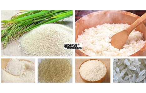 day chuyen san xuat gao 200-240kg/gio hinh 3