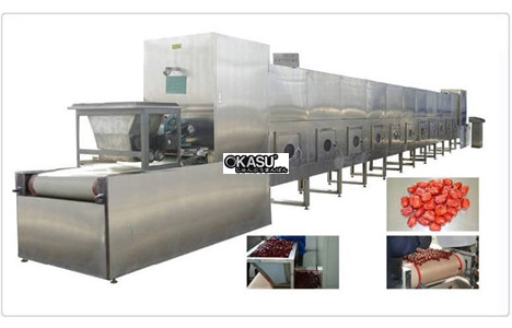 may say, khu trung thuc pham cong suat lon sbn-12kw hinh 3