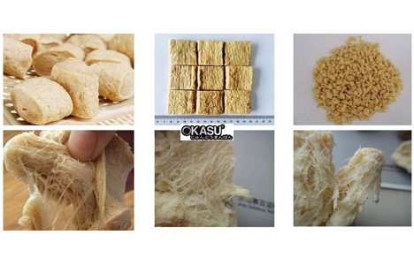 day chuyen san xuat protein dau nanh tao soi 200-1000kg/gio slg hinh 3