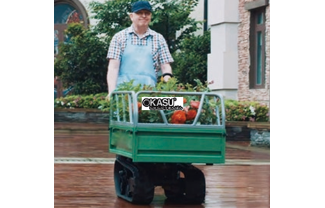 may van chuyen dien weima 7b-220 hinh 2