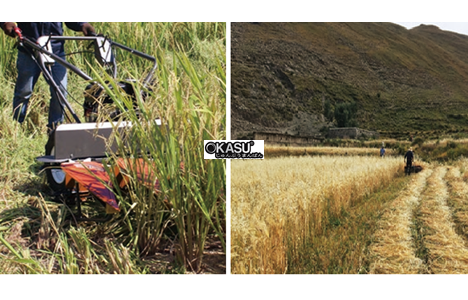 may gat lua day tay weima wmgs120 / wmgs120a hinh 3