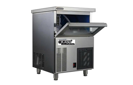 may lam da vien saige sgs-e120ps (cong suat 55kg/24h) hinh 2