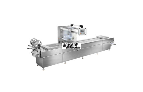 may dong goi hut chan khong nhiet dinh hinh dlz-520 t hinh 2