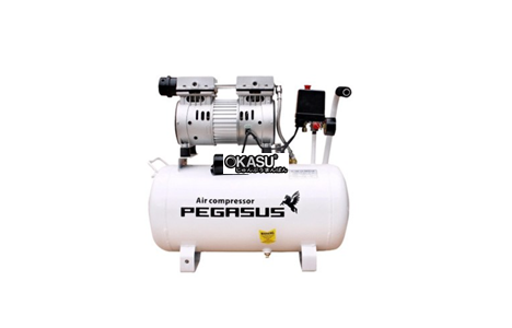 may nen khi khong dau pegasus tm-of600-25l hinh 2