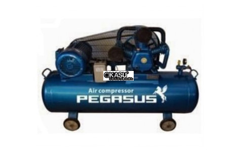 may nen khi day dai pegasus tm-4hp-230l hinh 2