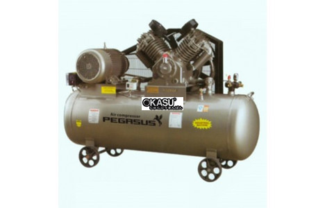 may nen khi day dai pegasus tm-10hp-330l-1000 hinh 2