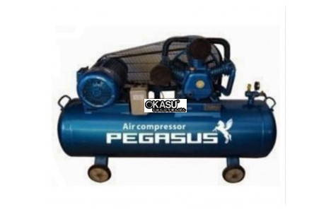 may nen khi day dai pegasus tm-4hp-180l hinh 2