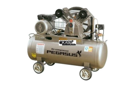may nen khi day dai pegasus tm-3hp-180l hinh 2