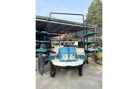 may cay lua ngoi lai 6 hang chay dau hk- 6d1 hinh 2