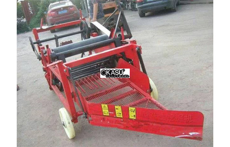 gian thu hoach dau phong dang vuong gan may cay scm hinh 2