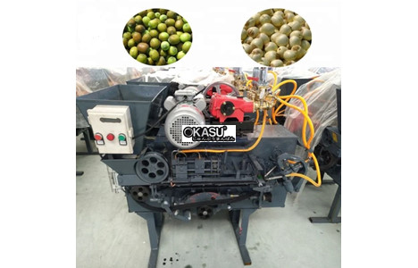 may tach hat sen hongshi 300kg/h hs-y30 hinh 3