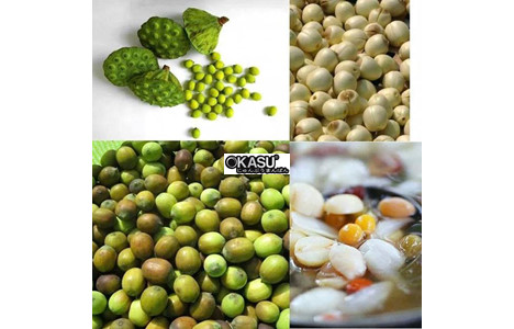 may tach hat sen hongshi 300kg/h hs-y30 hinh 2