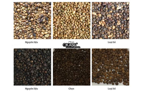 may phan loai mau ca phe hinh 9