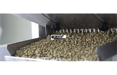 may phan loai mau ca phe hinh 6