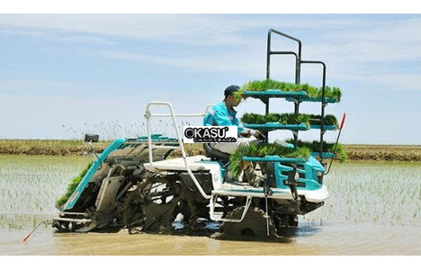 may cay lua kubota spv-6cmd hinh 2