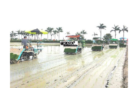 may cay lua kubota spv-6cmd hinh 3